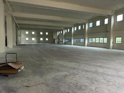 Woodlands Spectrum (D25), Factory #457351731